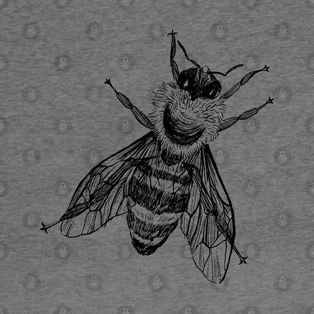 Vintage Honey Bee Drawing for World Bee Day by drumweaver